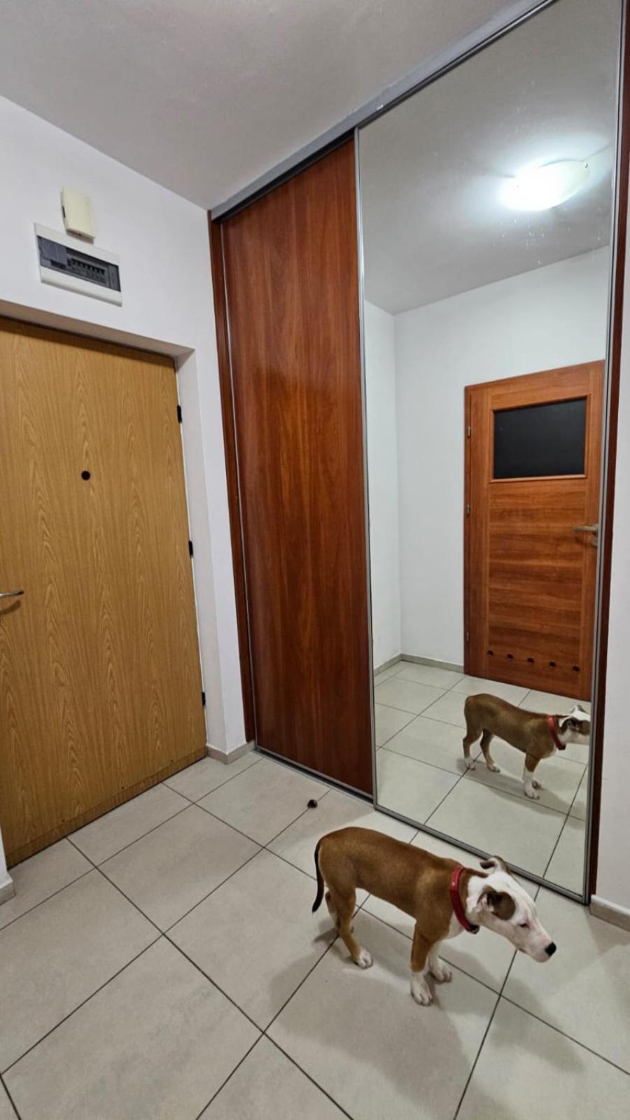 Apartament Lipinskiego Krakow Dış mekan fotoğraf
