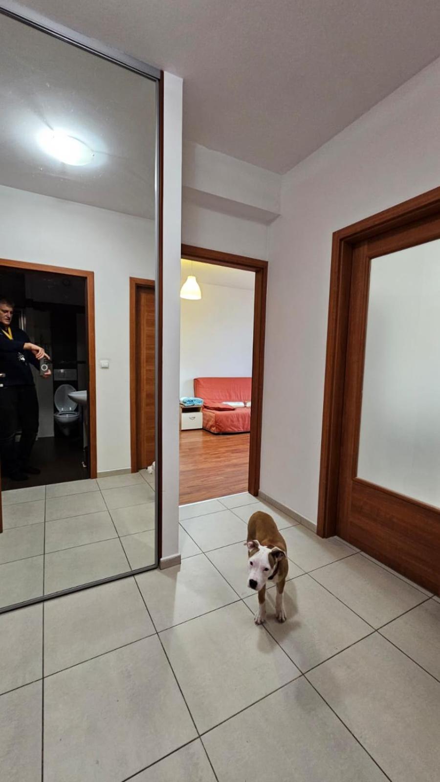 Apartament Lipinskiego Krakow Dış mekan fotoğraf