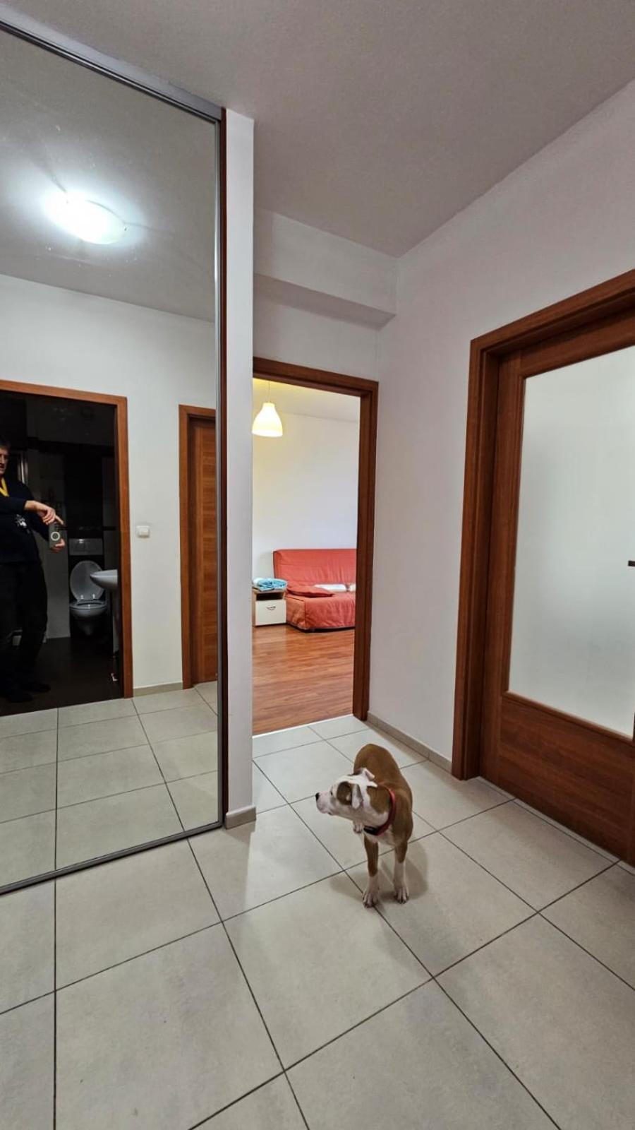 Apartament Lipinskiego Krakow Dış mekan fotoğraf