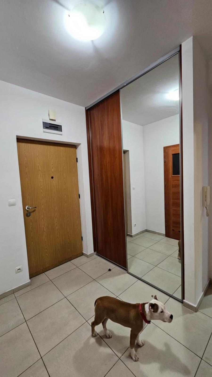 Apartament Lipinskiego Krakow Dış mekan fotoğraf