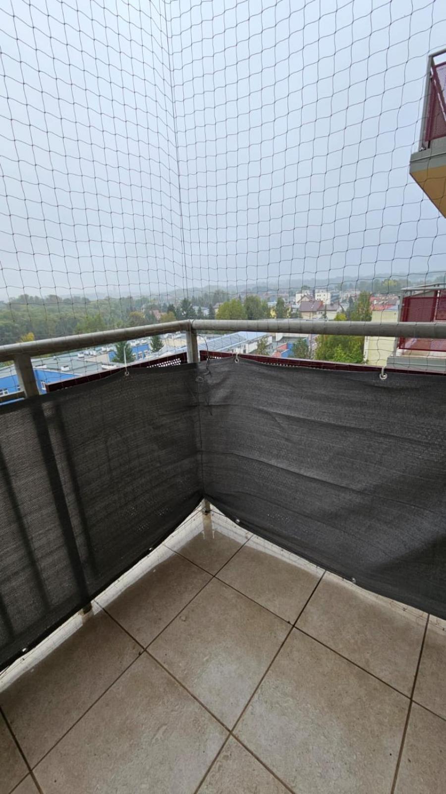 Apartament Lipinskiego Krakow Dış mekan fotoğraf